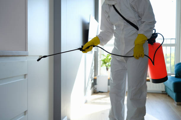 Best Mold Cleaning Services  in Newburg, WI