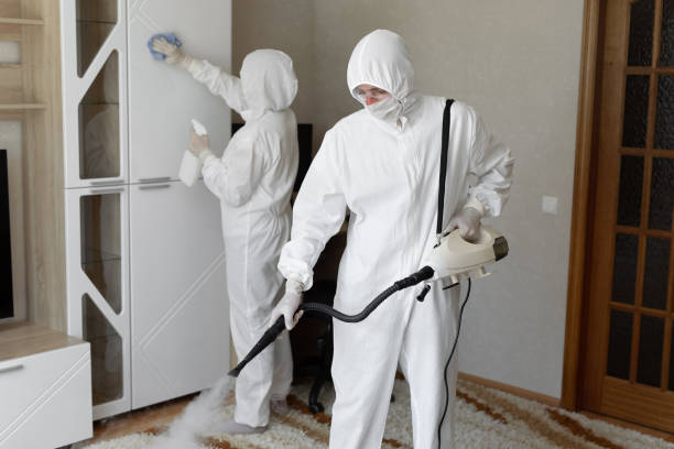 Best Professional Mold Removal  in Newburg, WI